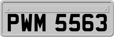 PWM5563