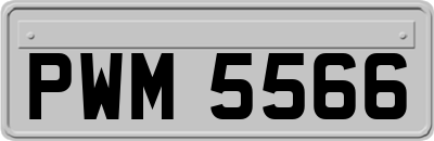 PWM5566