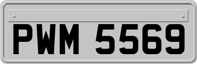 PWM5569