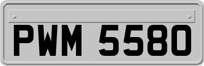 PWM5580