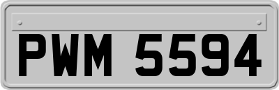 PWM5594