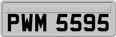 PWM5595