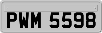 PWM5598