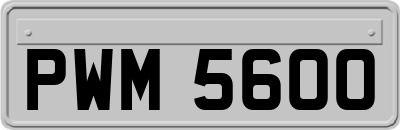 PWM5600