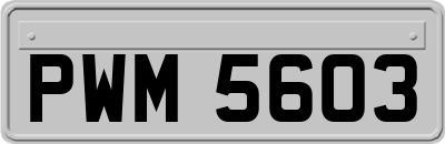 PWM5603