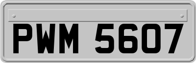 PWM5607