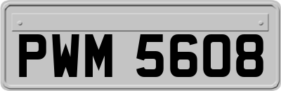 PWM5608