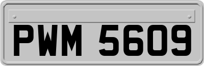 PWM5609