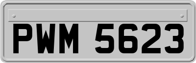 PWM5623