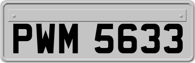 PWM5633