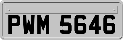 PWM5646