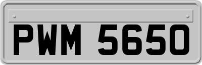 PWM5650