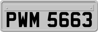 PWM5663