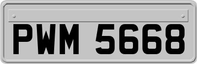 PWM5668