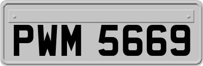 PWM5669