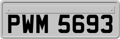 PWM5693