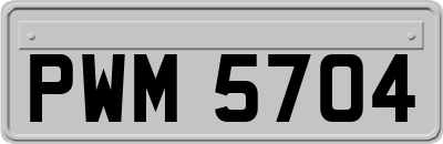 PWM5704