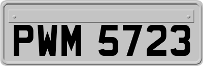 PWM5723