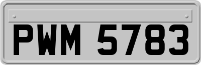 PWM5783