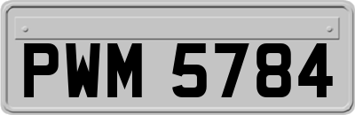 PWM5784