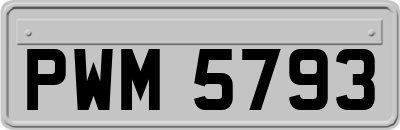 PWM5793