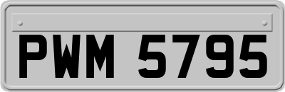 PWM5795