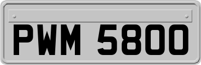 PWM5800