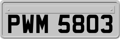 PWM5803