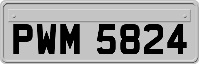 PWM5824