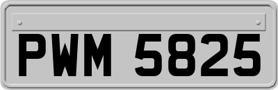 PWM5825