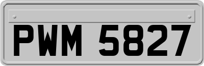 PWM5827