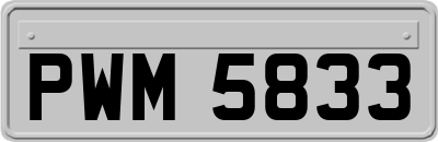 PWM5833