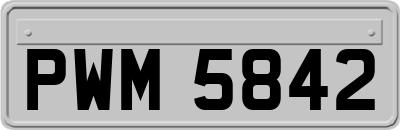 PWM5842