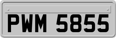 PWM5855