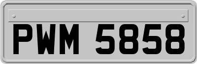 PWM5858