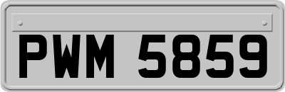 PWM5859