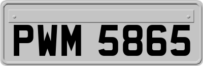 PWM5865