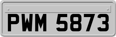 PWM5873