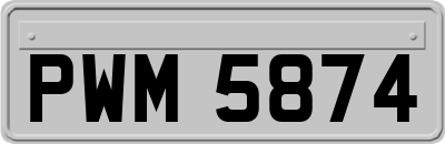 PWM5874