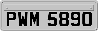 PWM5890