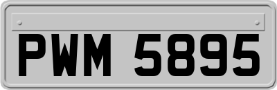 PWM5895