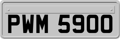 PWM5900