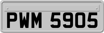 PWM5905