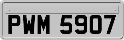 PWM5907