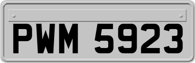 PWM5923