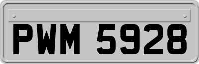 PWM5928