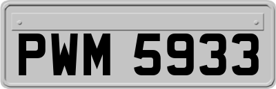 PWM5933