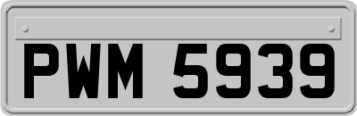 PWM5939