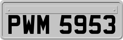 PWM5953