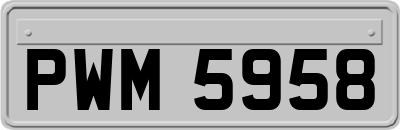 PWM5958